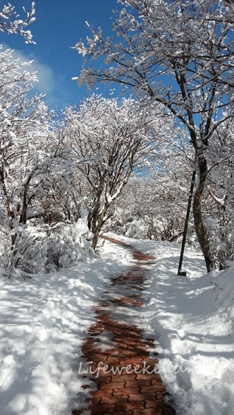 beppu tsurumi