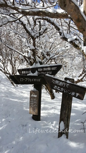 beppu tsurumi