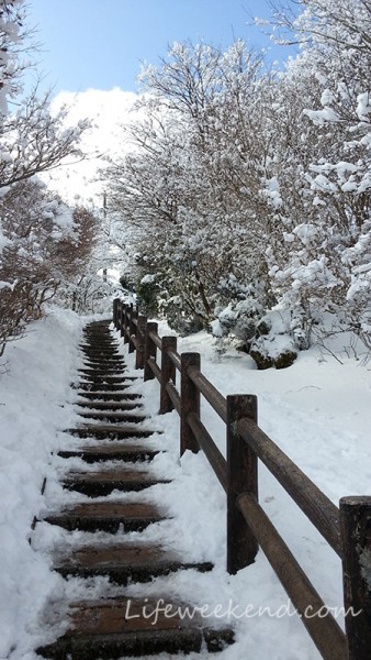 beppu tsurumi