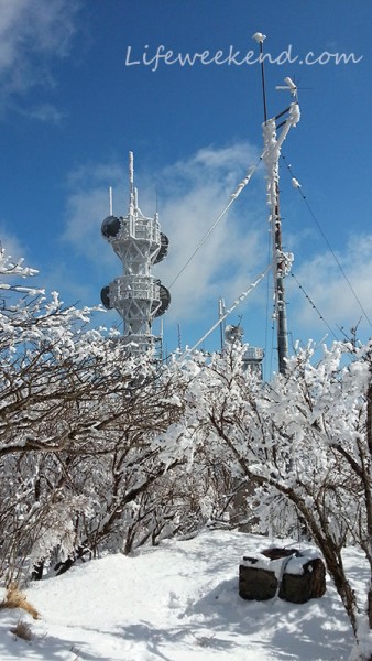 beppu_tsurumi25